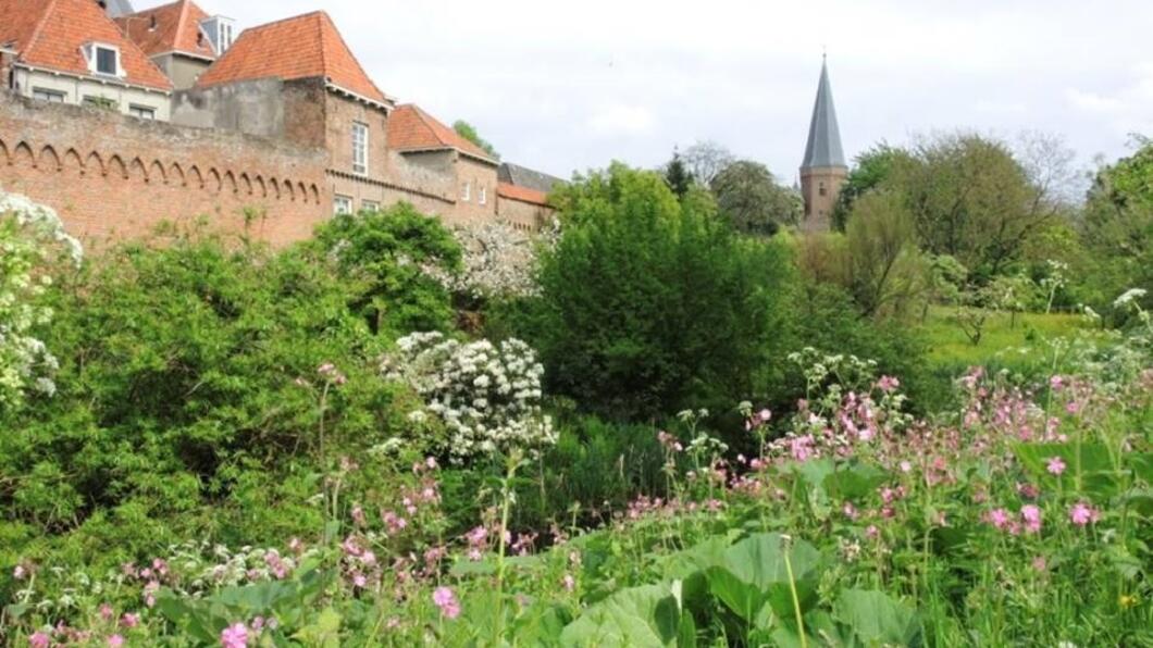 bermbeheer Zutphen