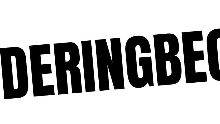 GroenLinksZutphen_veranderingbeginthier GroenLinksZutphen_veranderingbeginthier