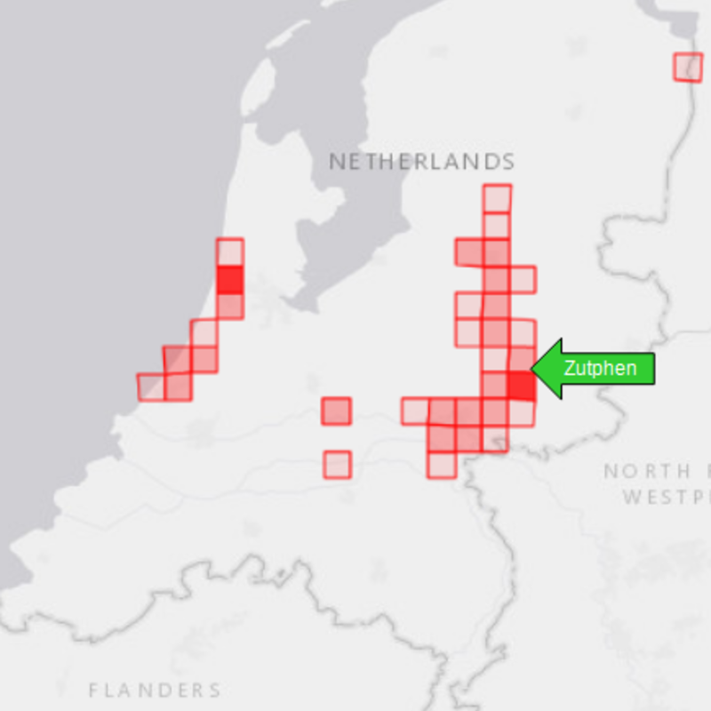 Waarnemingen van weidegeelster