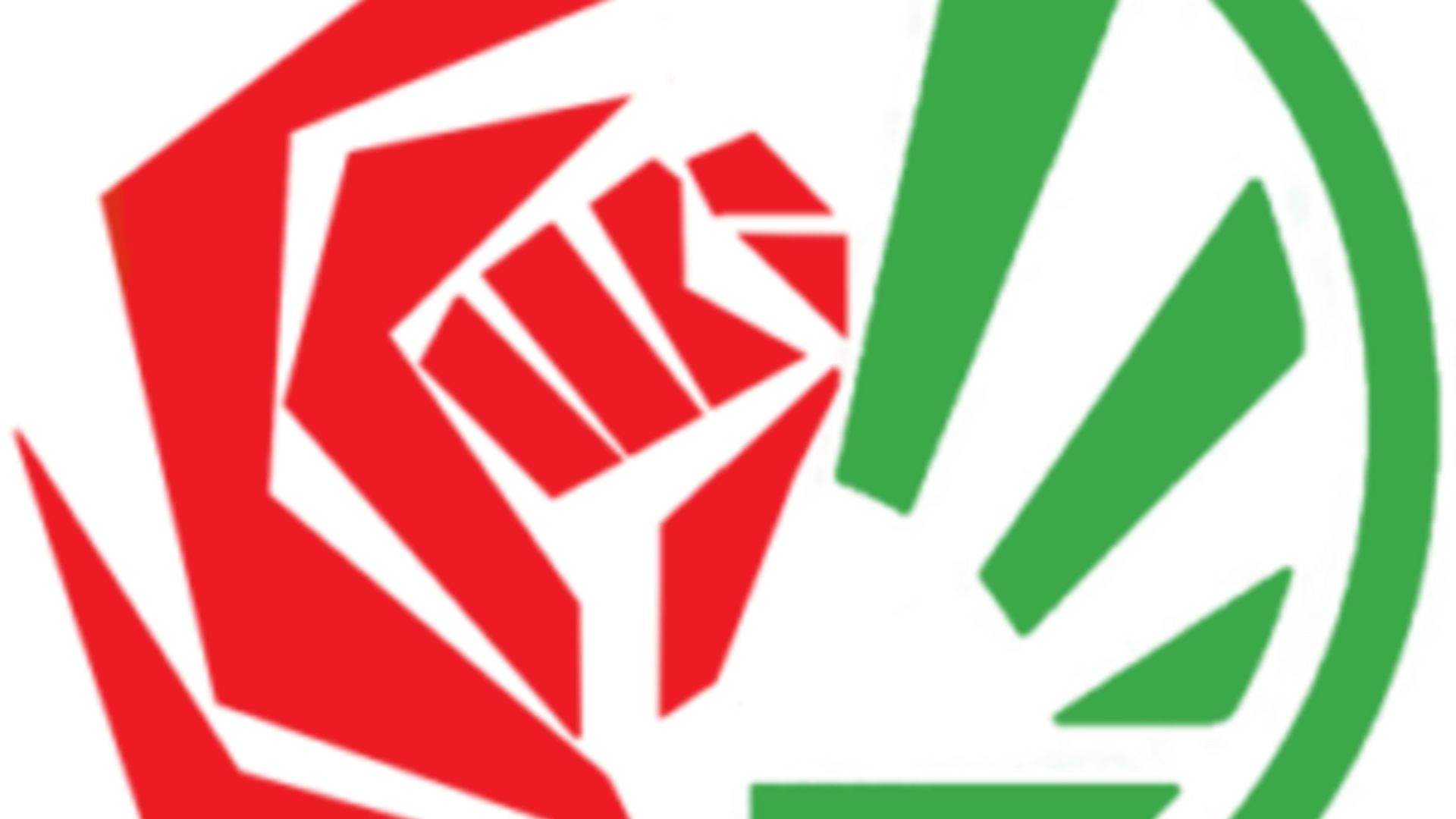 GL PVDA logo's