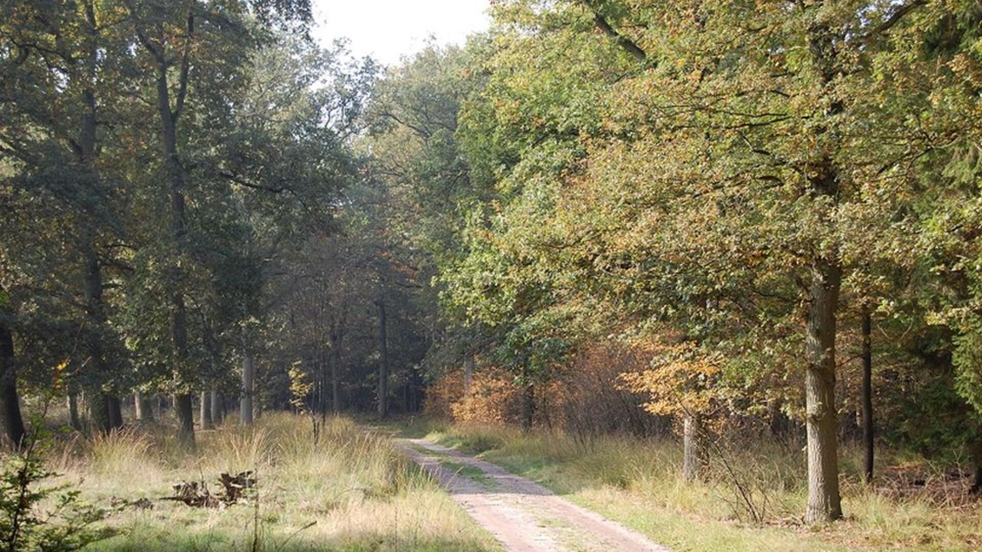 Natuur Gelderland.jpg